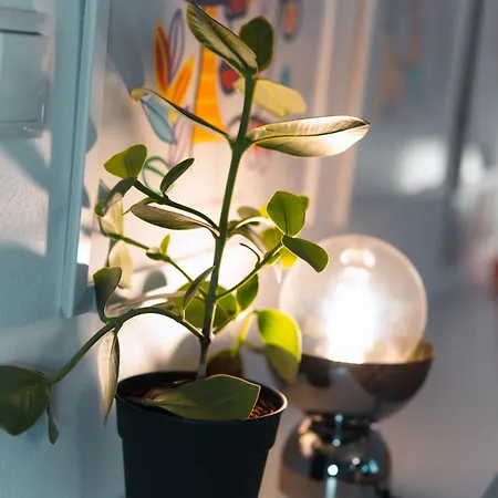 27 Apartmán
